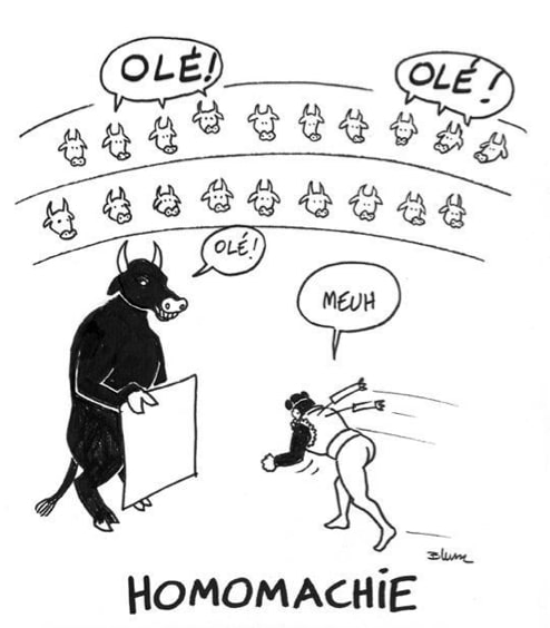 Homomachie