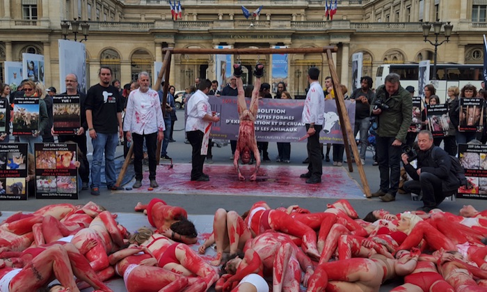 abattoir